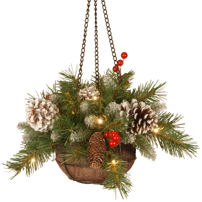 Frosted Berry 14" Hanging Basket With 15 Soft White Lights