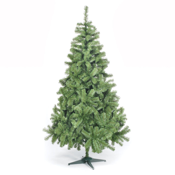 6ft Colorado Spruce Christmas Tree