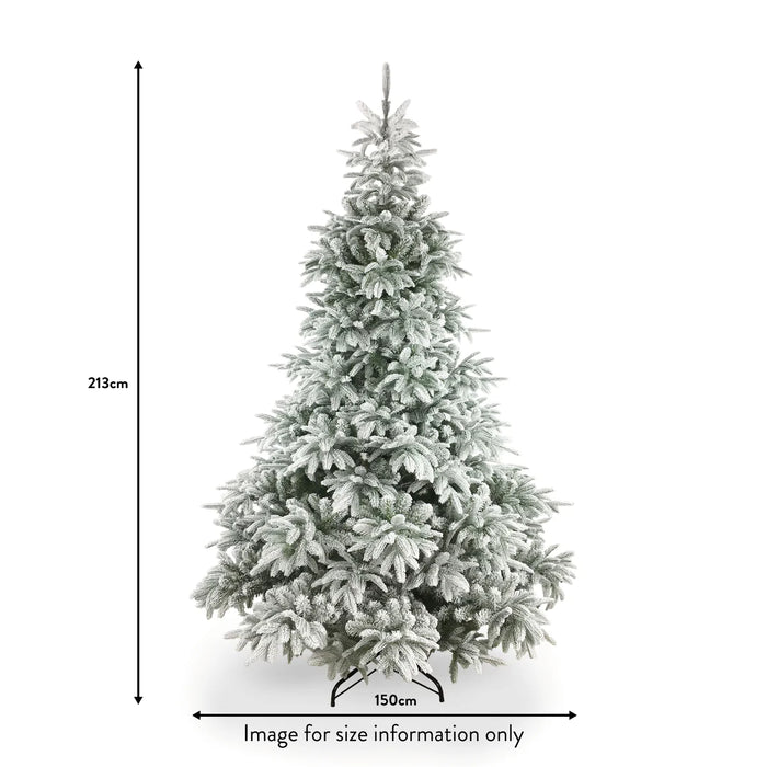 Frosted Andorra Fir 7ft Tree