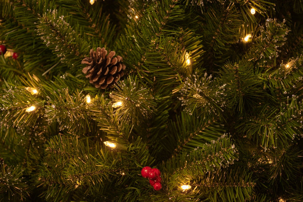 Glittery Bristle Pine 24" Wreath With 50 Warm White Lights
