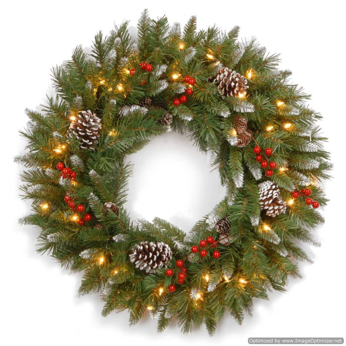 Frosted Berry 20" Wreath With 50 Warm White Lights