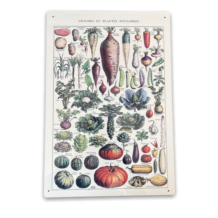 Vintage Metal Sign - Vintage Botanical Kitchen Vegetables Sign