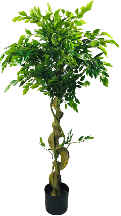 Artificial Ficus Tree With Twisted Trunk 137cm