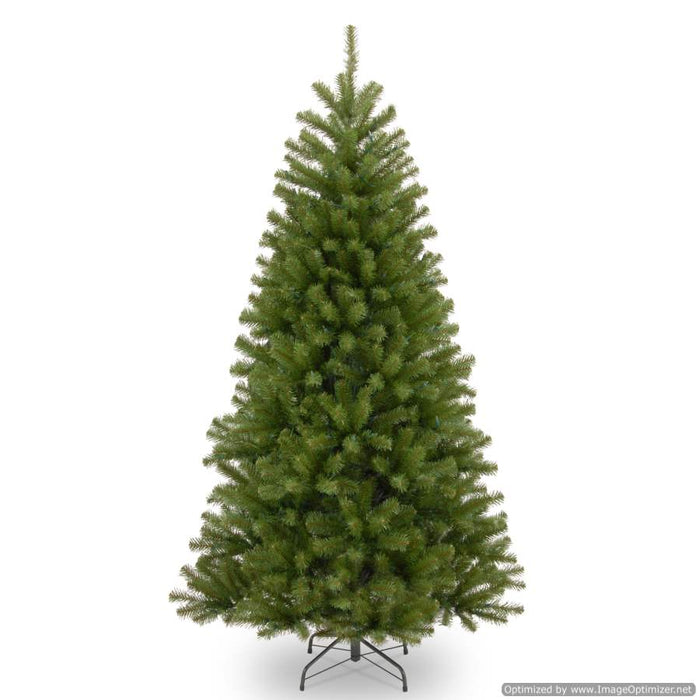 North Valley Spruce 4ft Tree