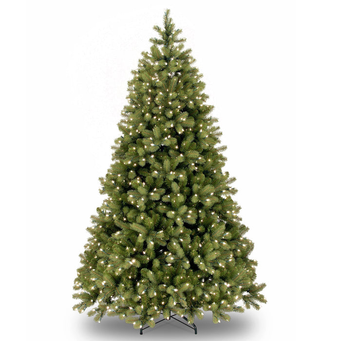 Bayberry Spruce 6ft Tree With 500 LED Lights