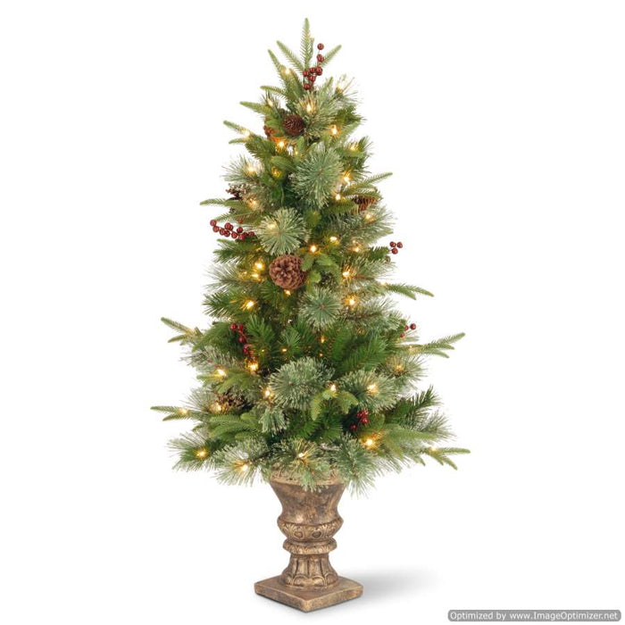 Colonial Fir 6ft Half Tree Ber/Con Red Drum Base 200 W/W LED