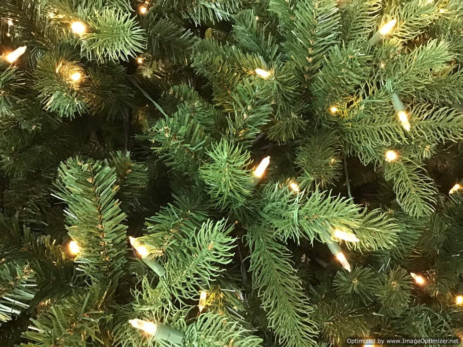 Newberry Spruce 6ft Tree With 600 Warm White LED Lights