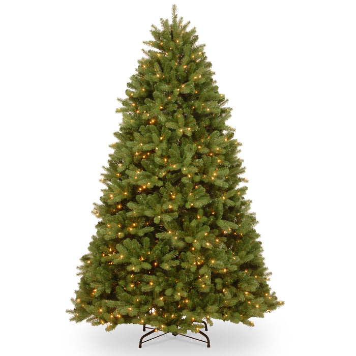 Newberry Spruce 6ft Tree With 600 Warm White LED Lights