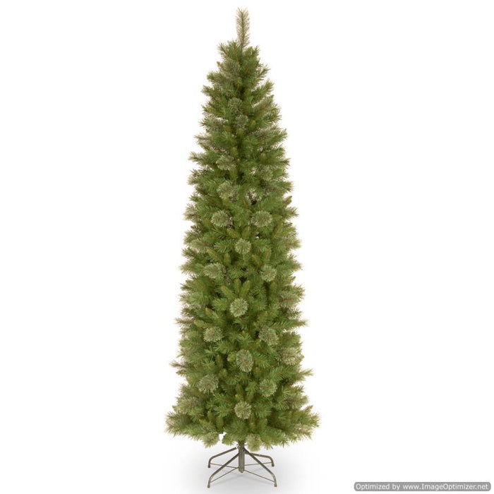 Tacoma Pine Pencil Christmas Tree - Available In 3 Sizes